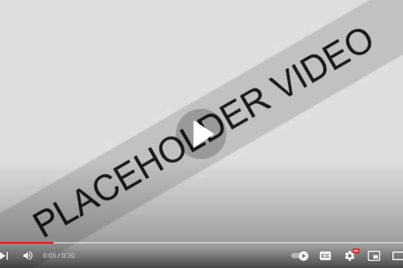 Video Placeholder 1